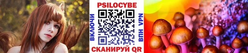 где купить   Спас-Клепики  omg ТОР  Псилоцибиновые грибы мухоморы 